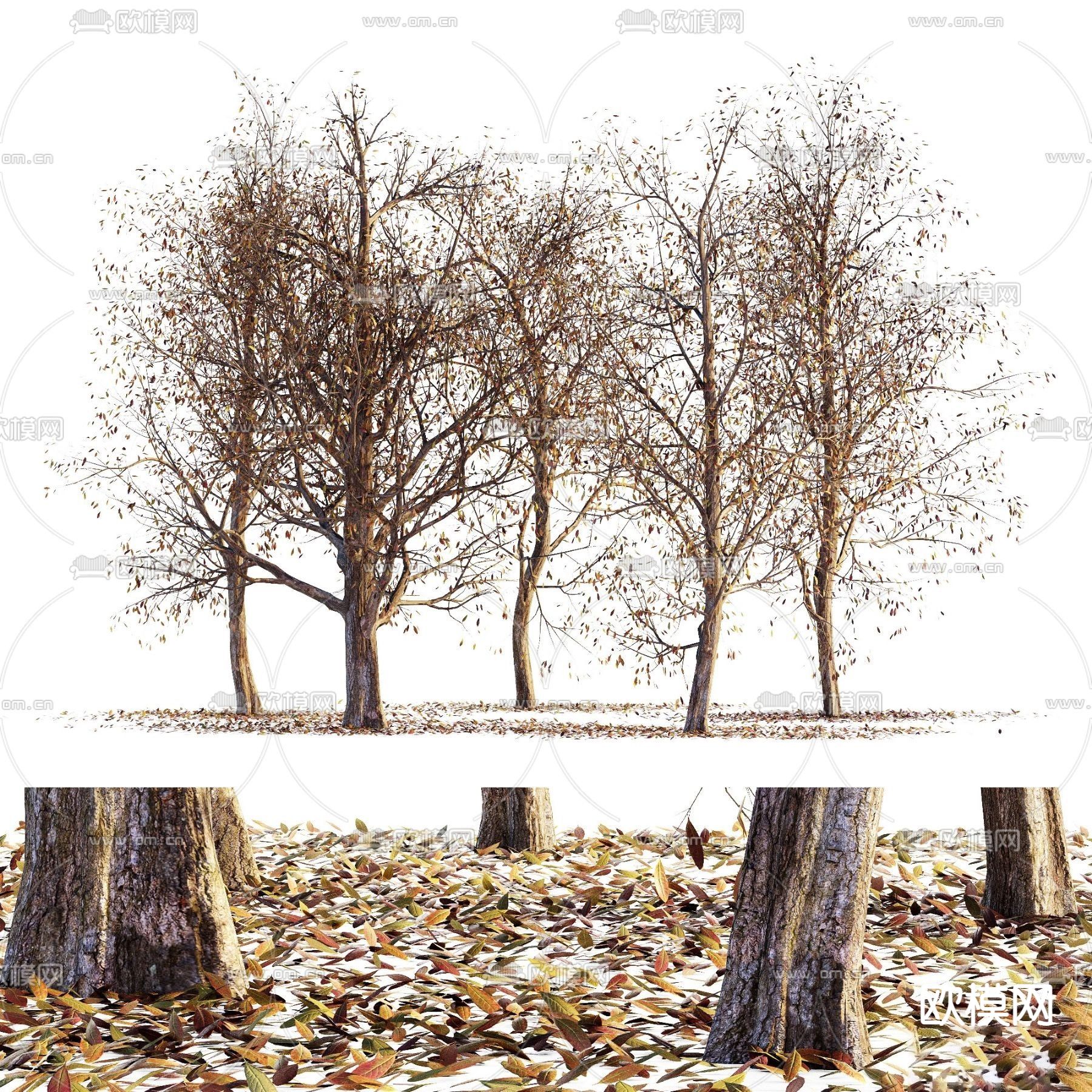 现代枯树 落叶su模型下载（渲染图1）
