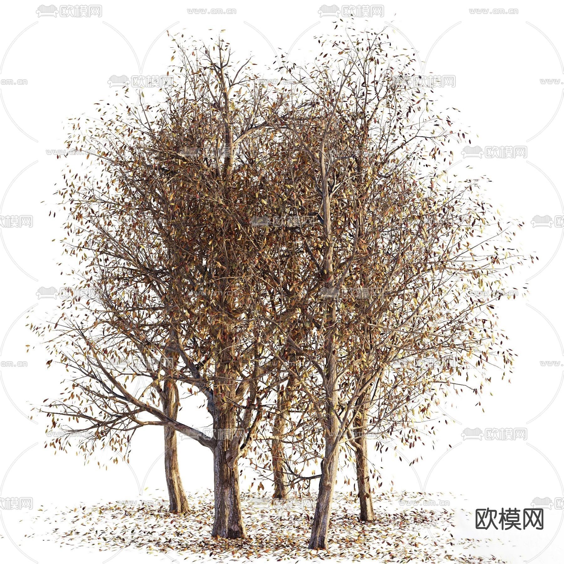 现代枯树 落叶su模型下载（渲染图2）