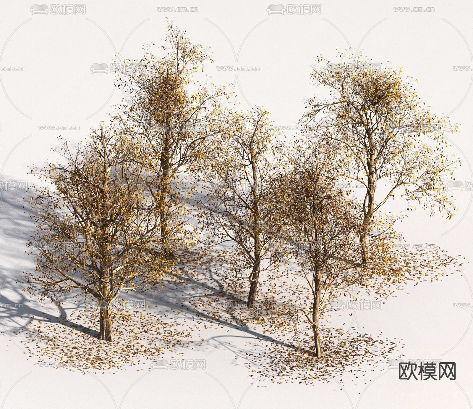现代枯树 落叶su模型下载（渲染图1）