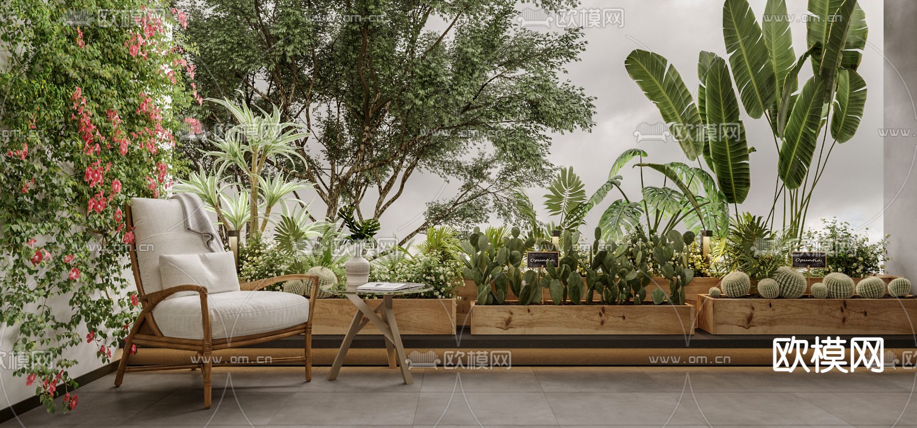 仙人掌 花坛 花箱3d模型下载（渲染图1）