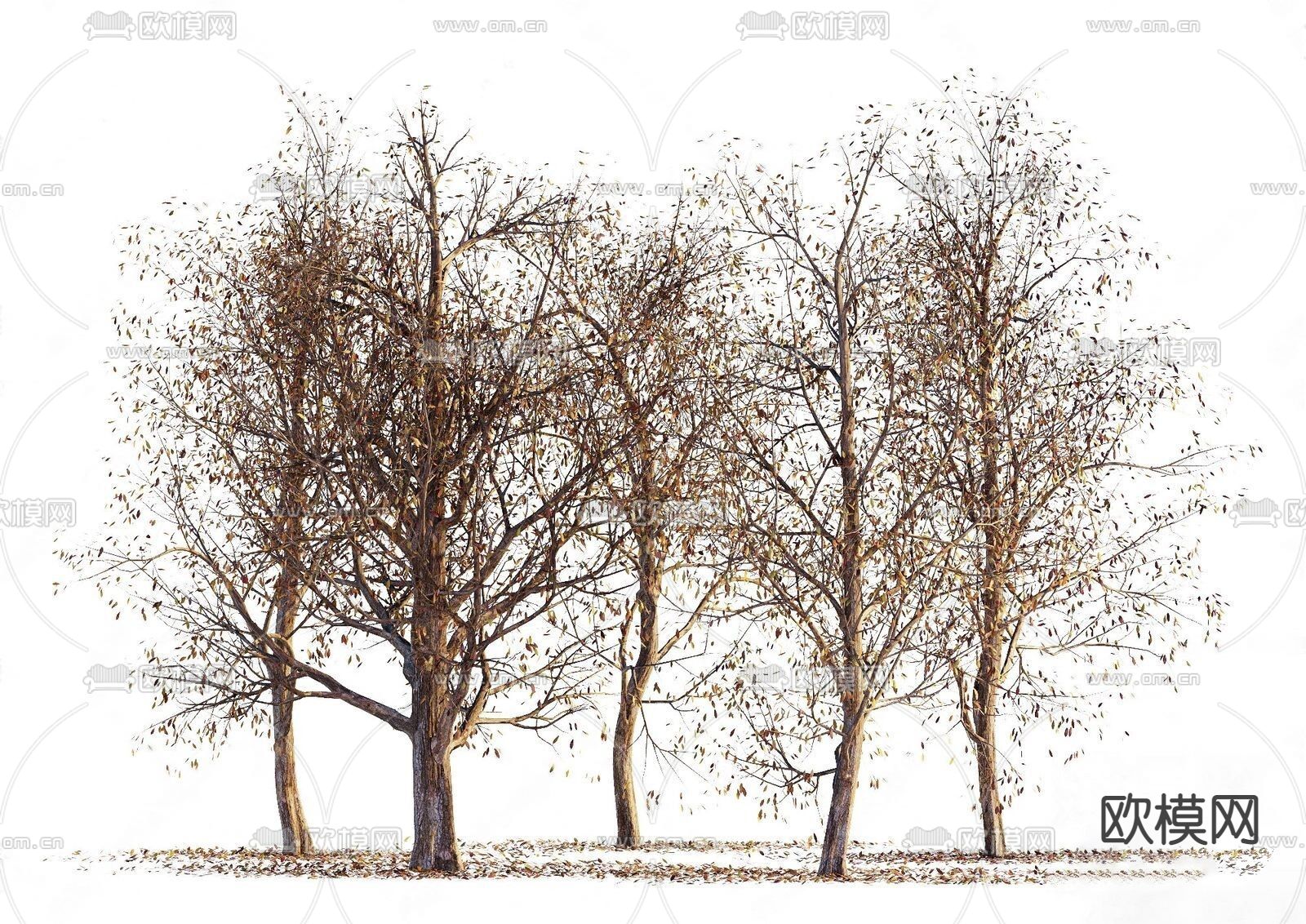现代枯树 落叶su模型下载（渲染图3）