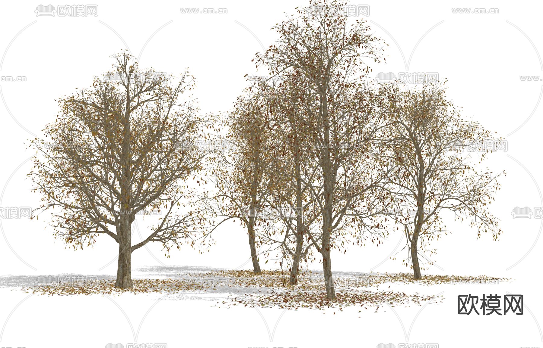 现代枯树 落叶su模型下载（渲染图4）