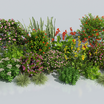  花卉花草su模型 