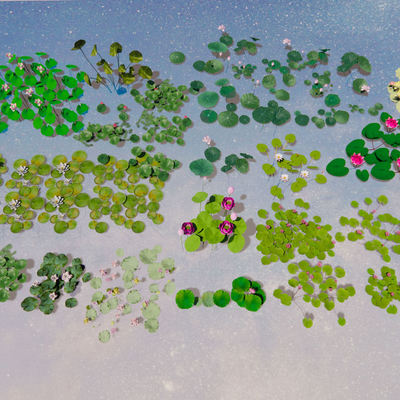  荷花 睡莲 莲蓬su模型 