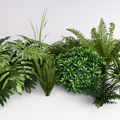  现代绿植 花草su模型 