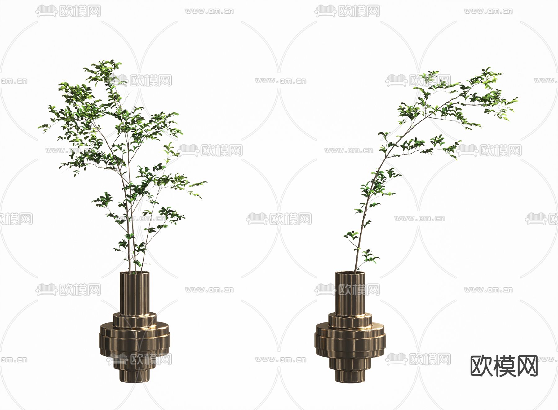 水生植物3d模型下载