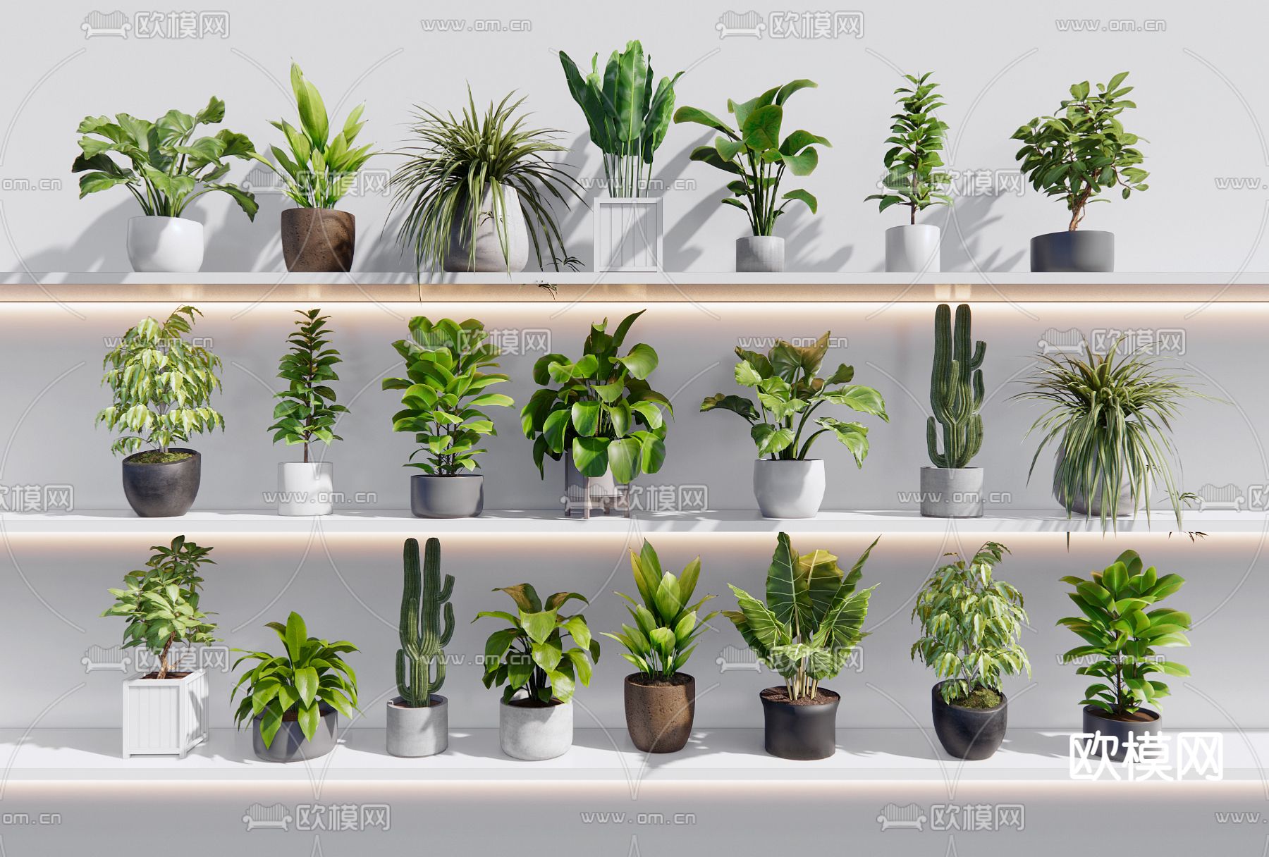 现代绿植盆栽su模型下载