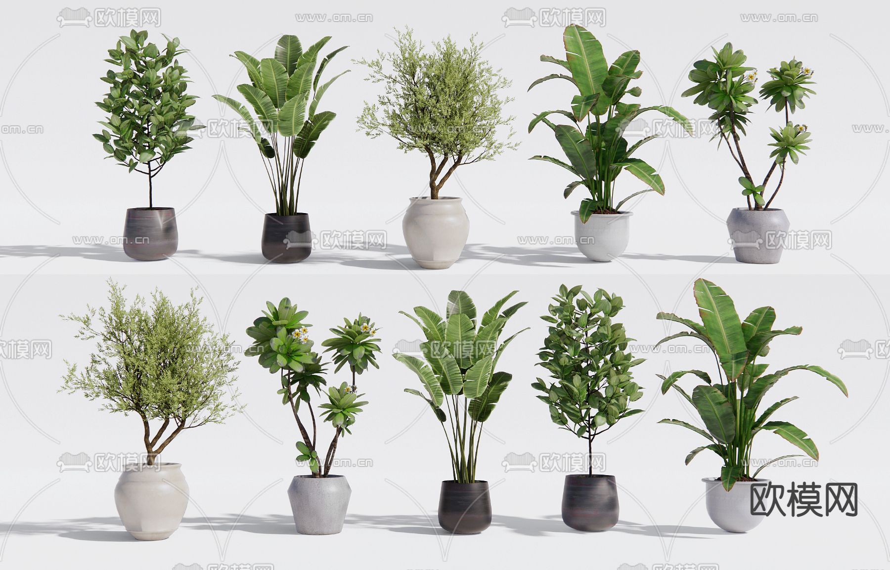 现代绿植盆栽su模型下载_ID14038210_sketchup模型下载-欧模网