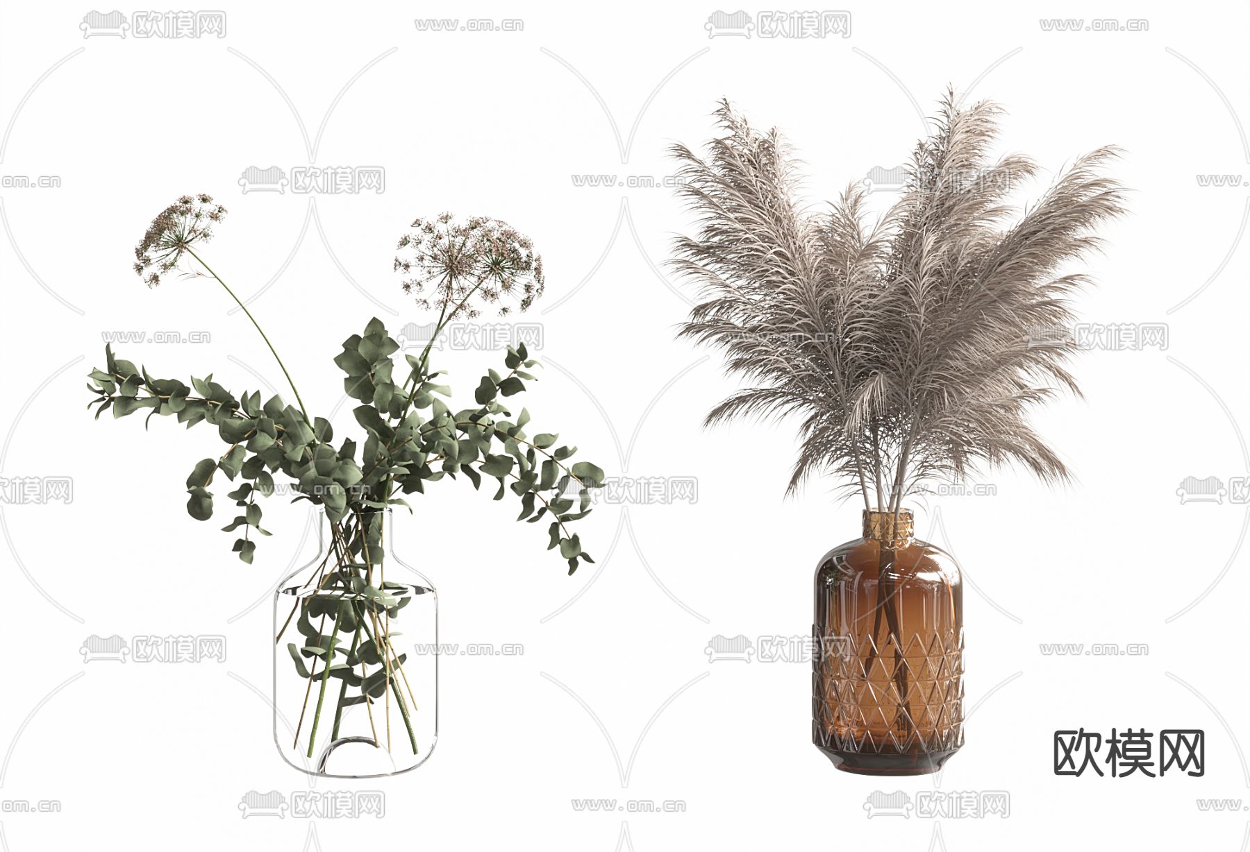 水生植物3d模型下载