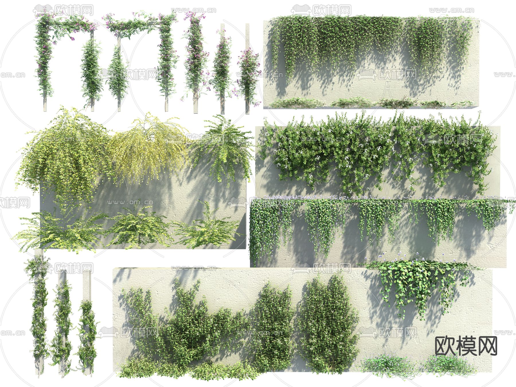 藤蔓 爬藤 爬墙虎3d模型下载