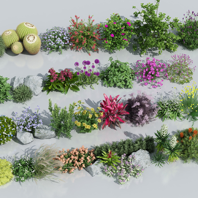  花卉 花草su模型 