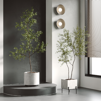  绿植 盆栽 盆景su模型 