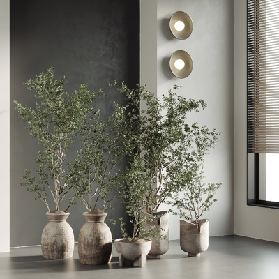  侘寂风盆栽 盆景su模型 