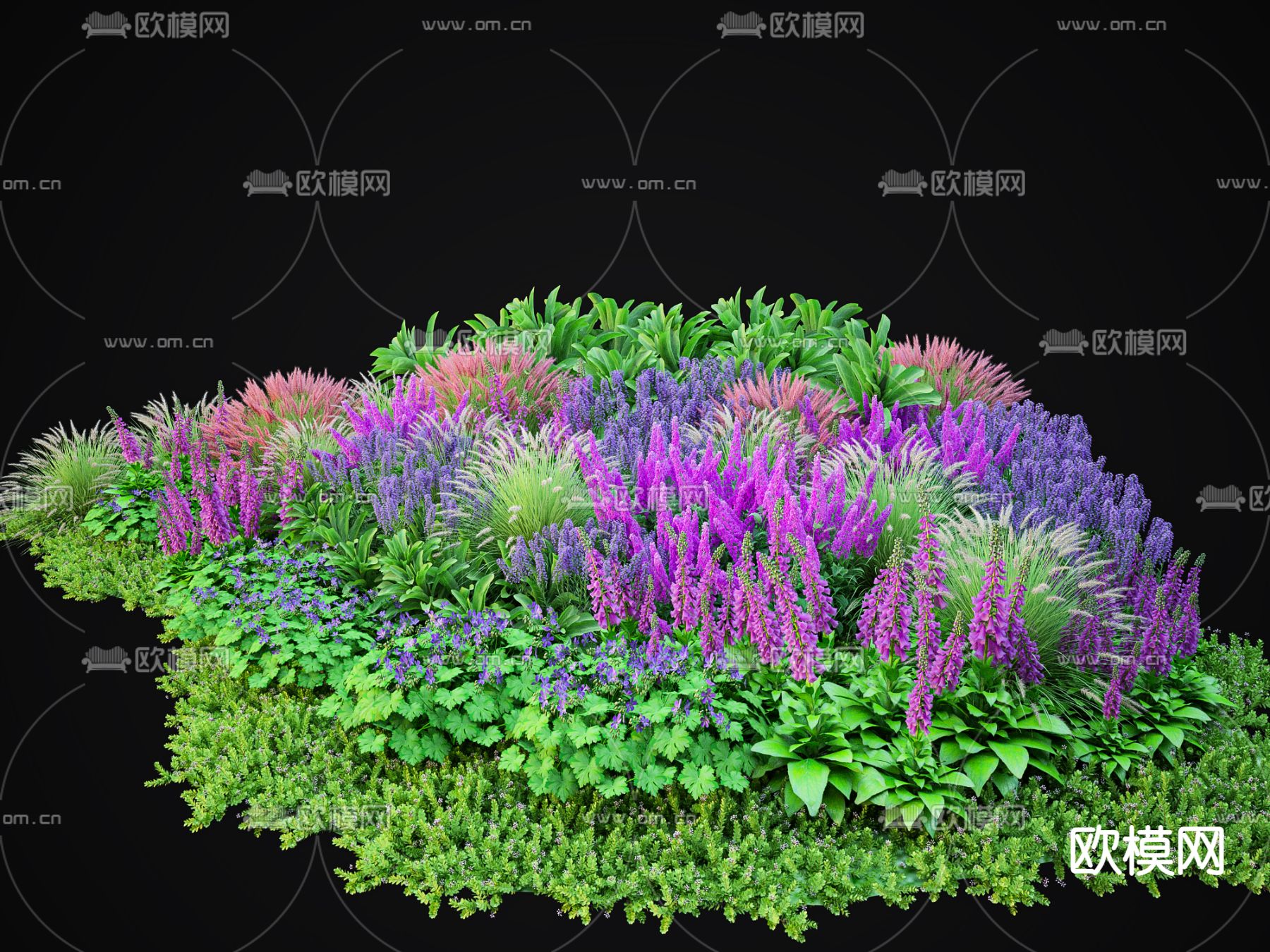 灌木 花草3d模型下载