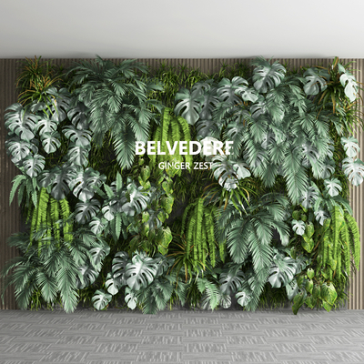  植物墙su模型 