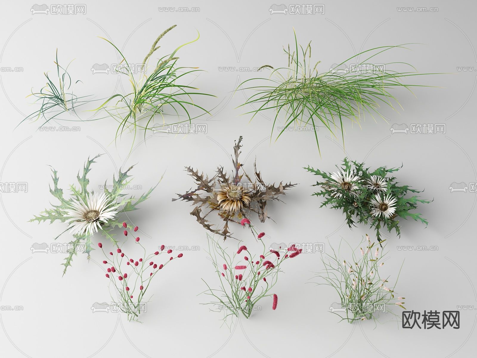 现代草 野草su模型下载_ID14048332_sketchup模型下载-欧模网