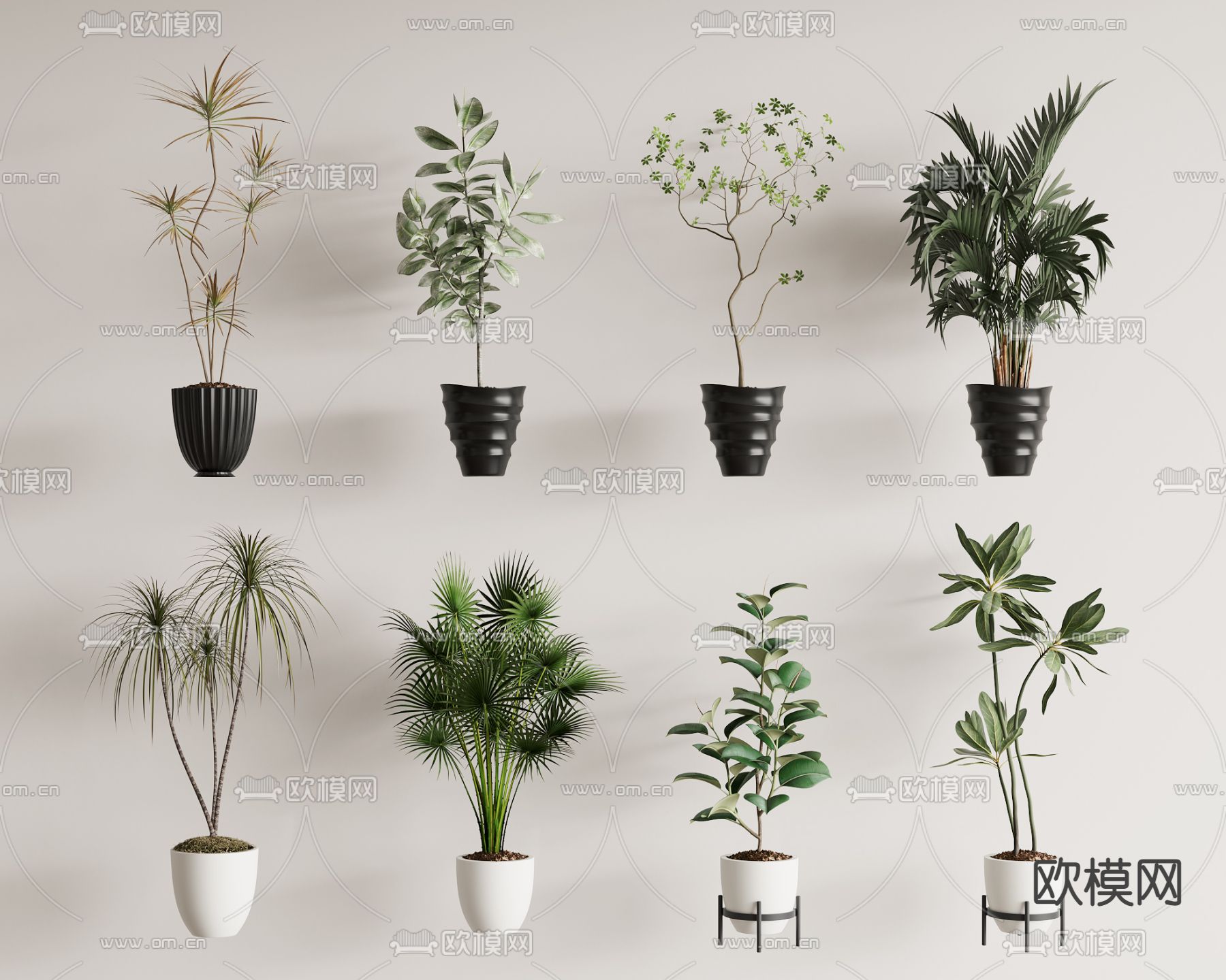 盆栽 盆景3d模型下载