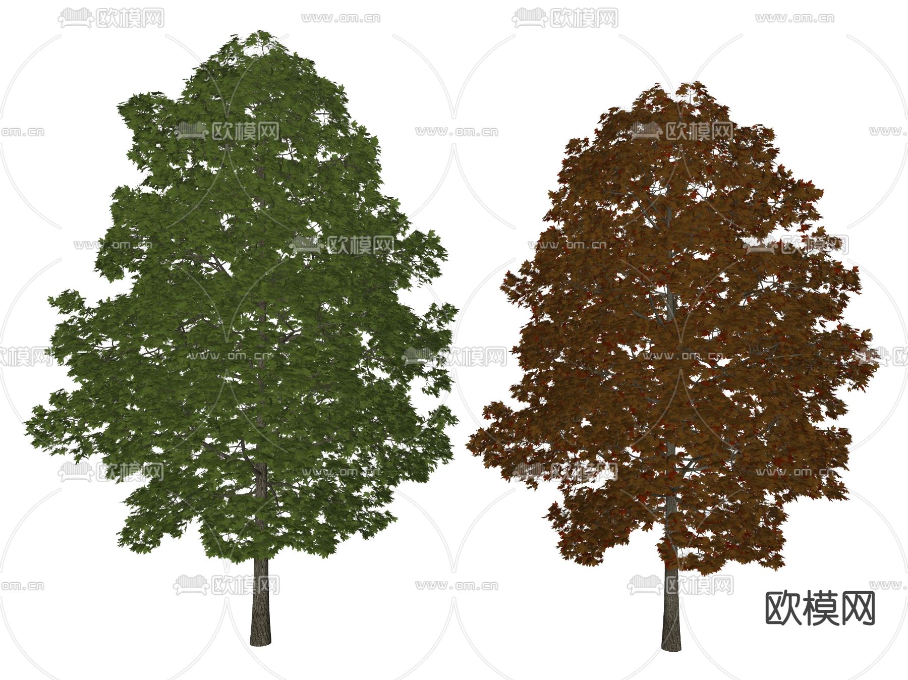 现代景观树 树木 乔木su模型下载（渲染图2）