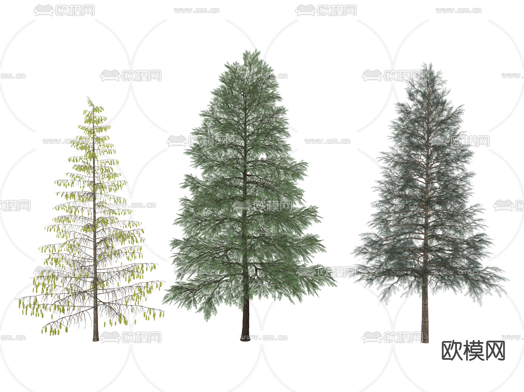 现代景观树 树木su模型下载（渲染图2）