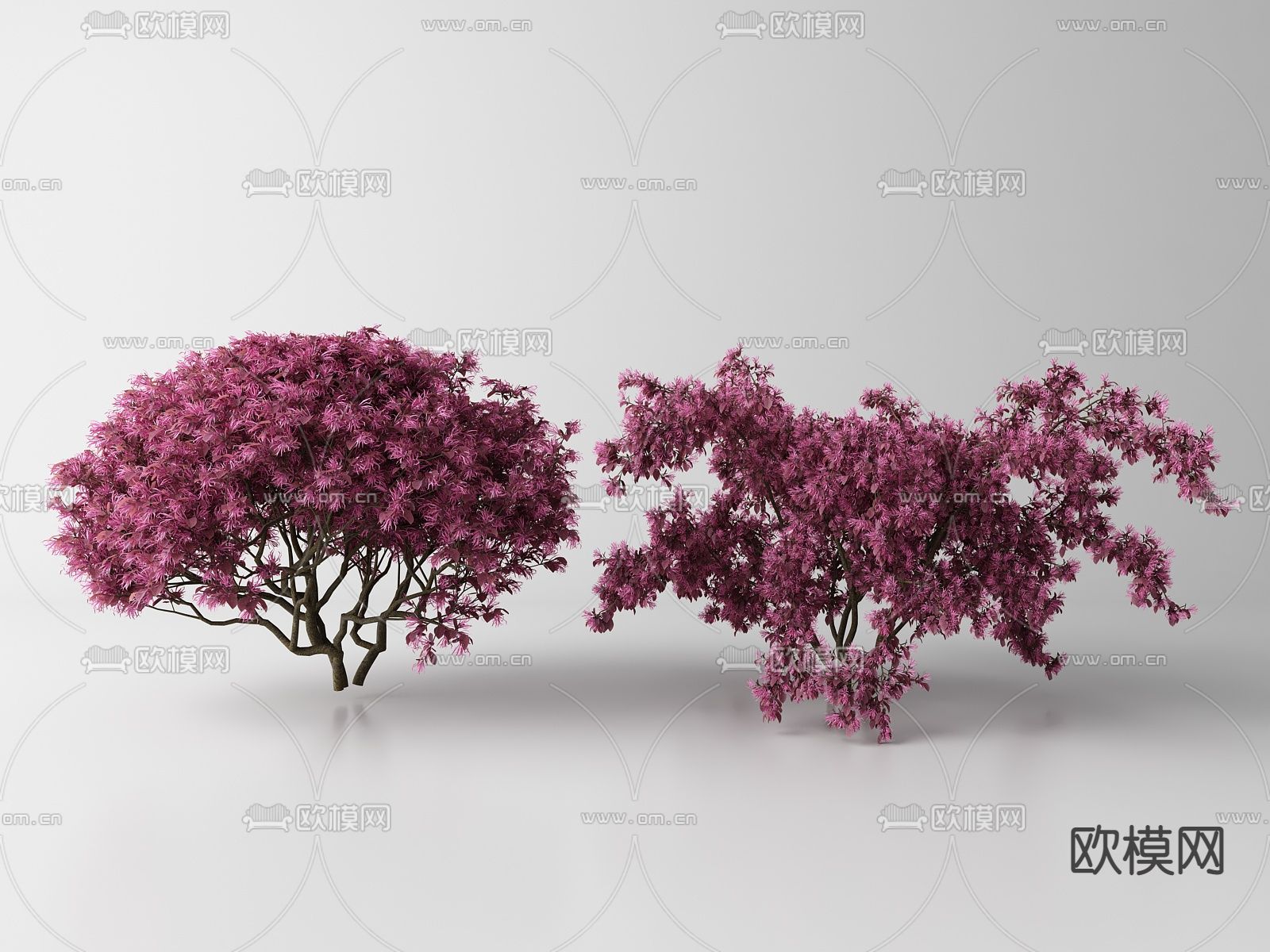 现代景观树 树木su模型下载（渲染图1）