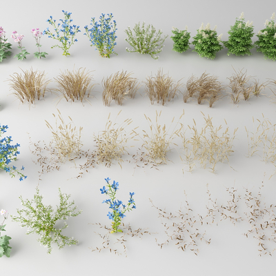  现代花草 野花su模型 