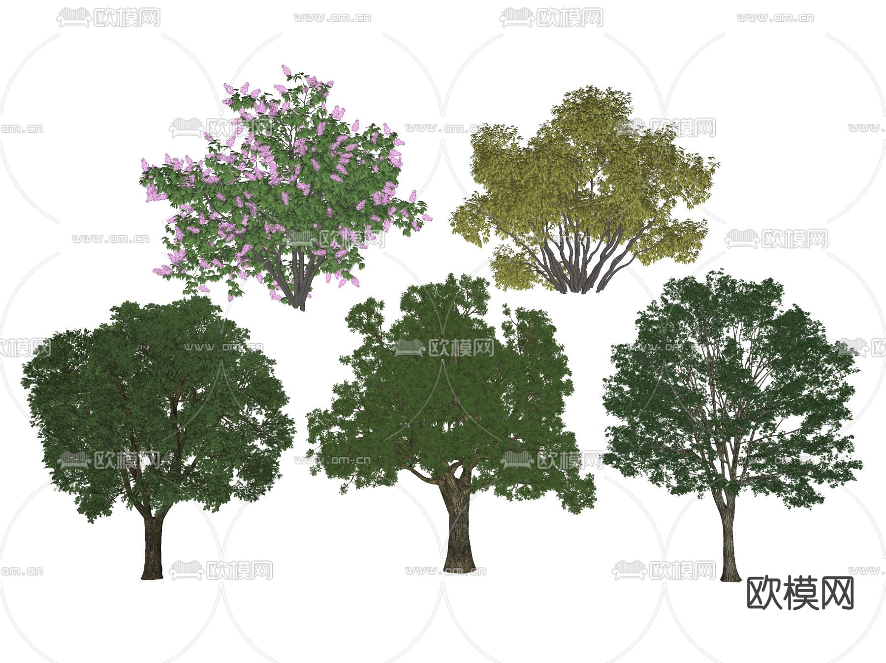 现代景观树 树木su模型下载（渲染图2）