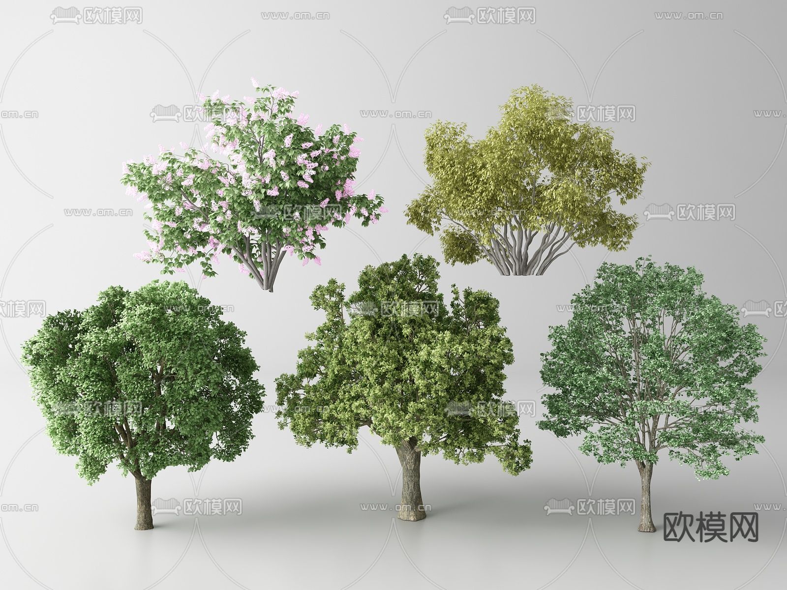现代景观树 树木su模型下载（渲染图1）