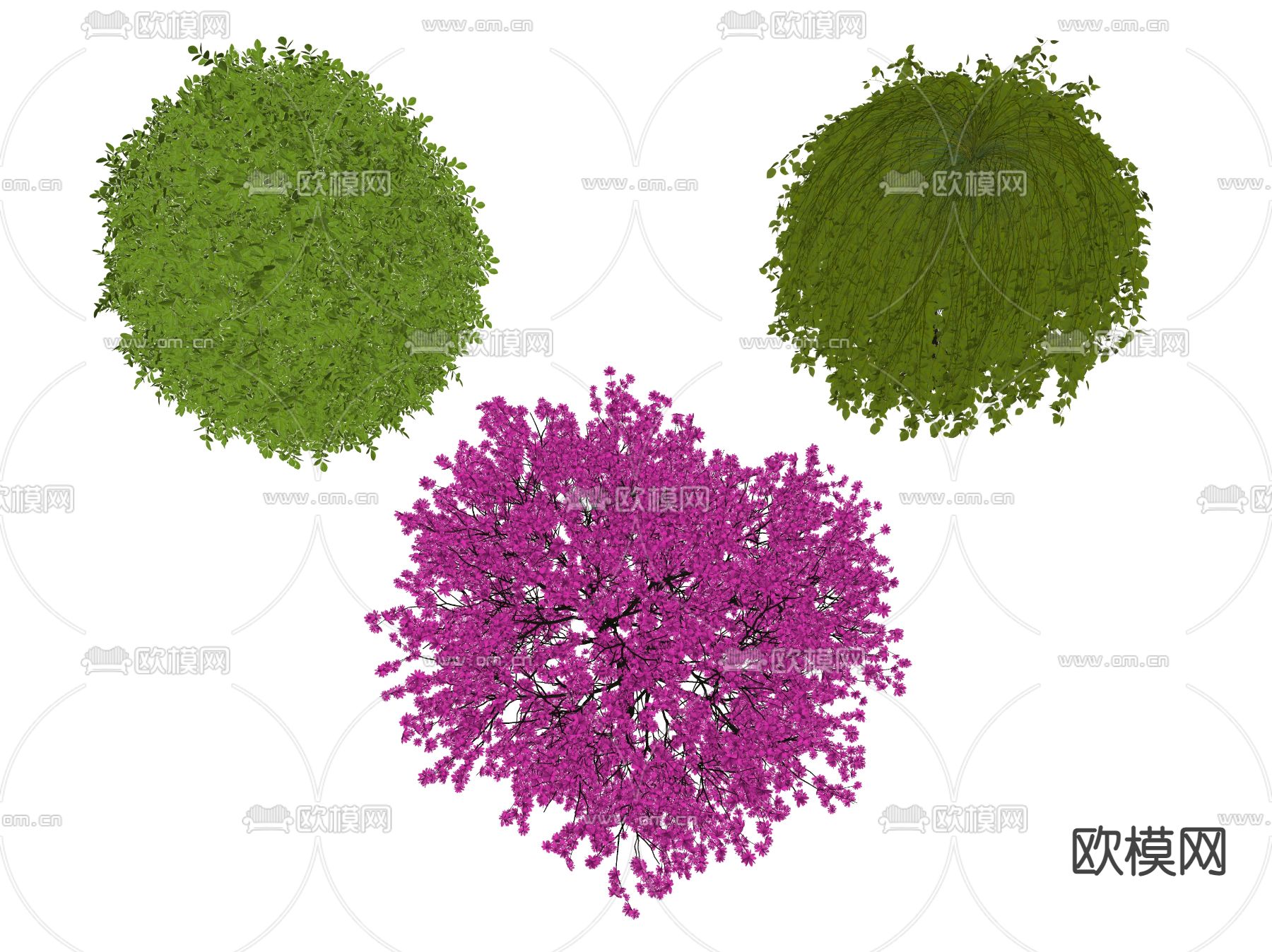 现代灌木丛su模型下载（渲染图2）