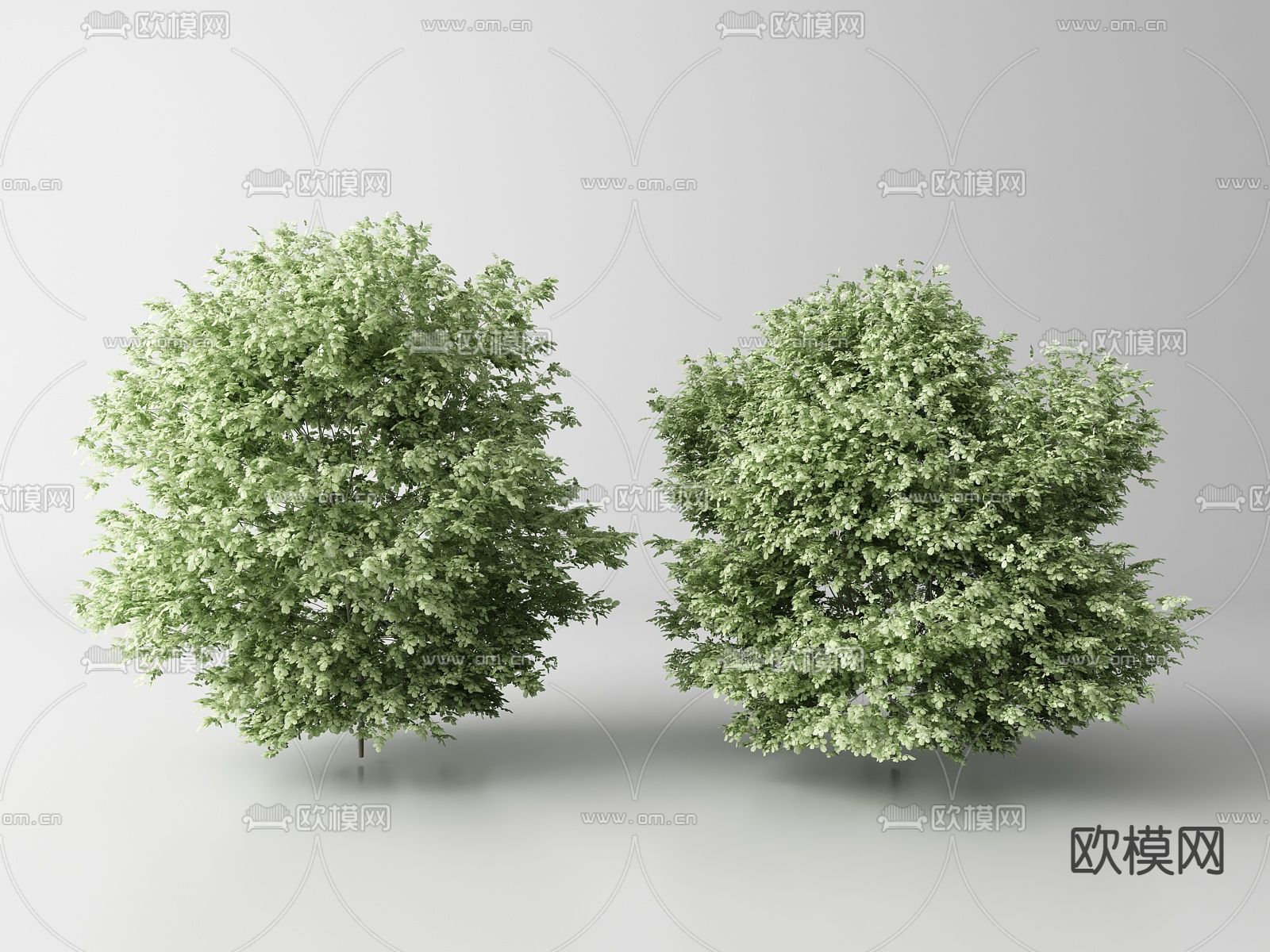 景观树 树木 乔木su模型下载（渲染图1）