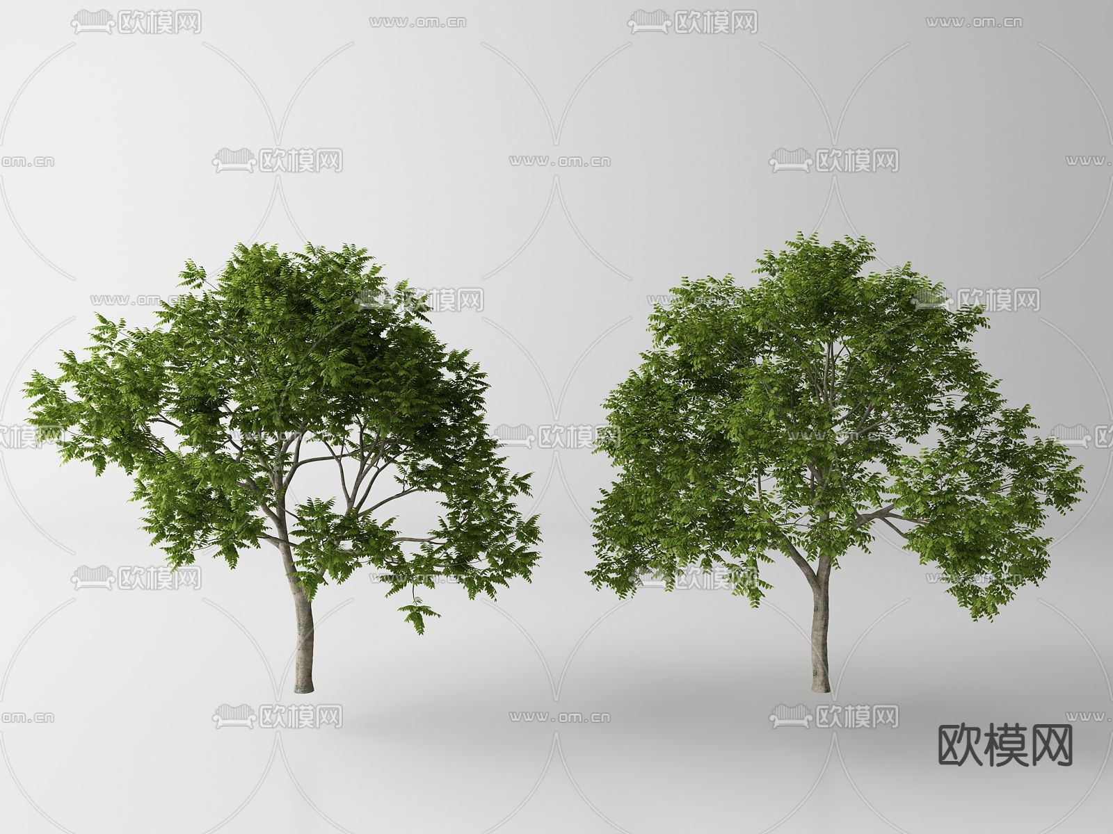 现代景观树 树木su模型下载（渲染图1）