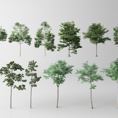  景观树 树木 乔木su模型 
