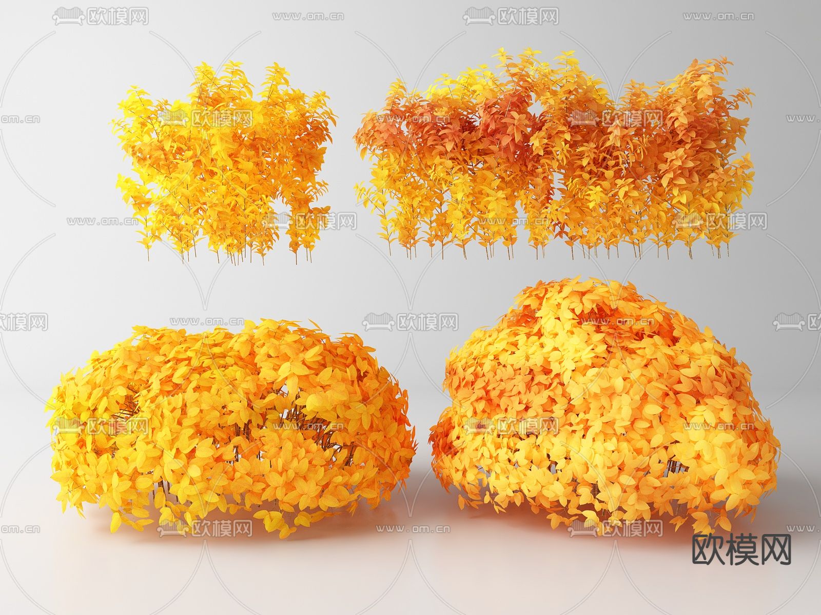 现代灌木su模型下载（渲染图1）