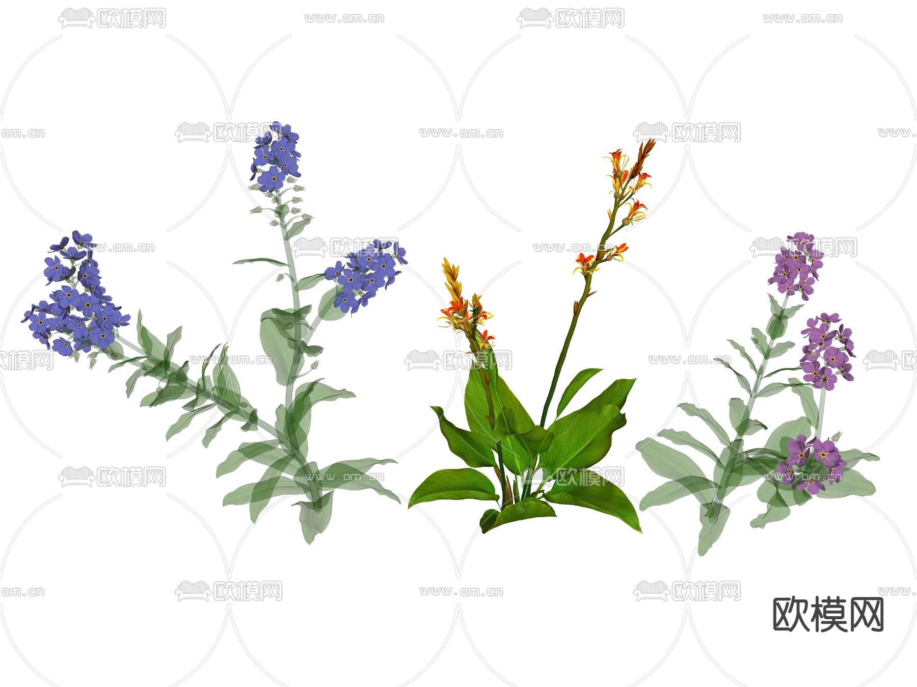 现代花草 野花su模型下载（渲染图2）