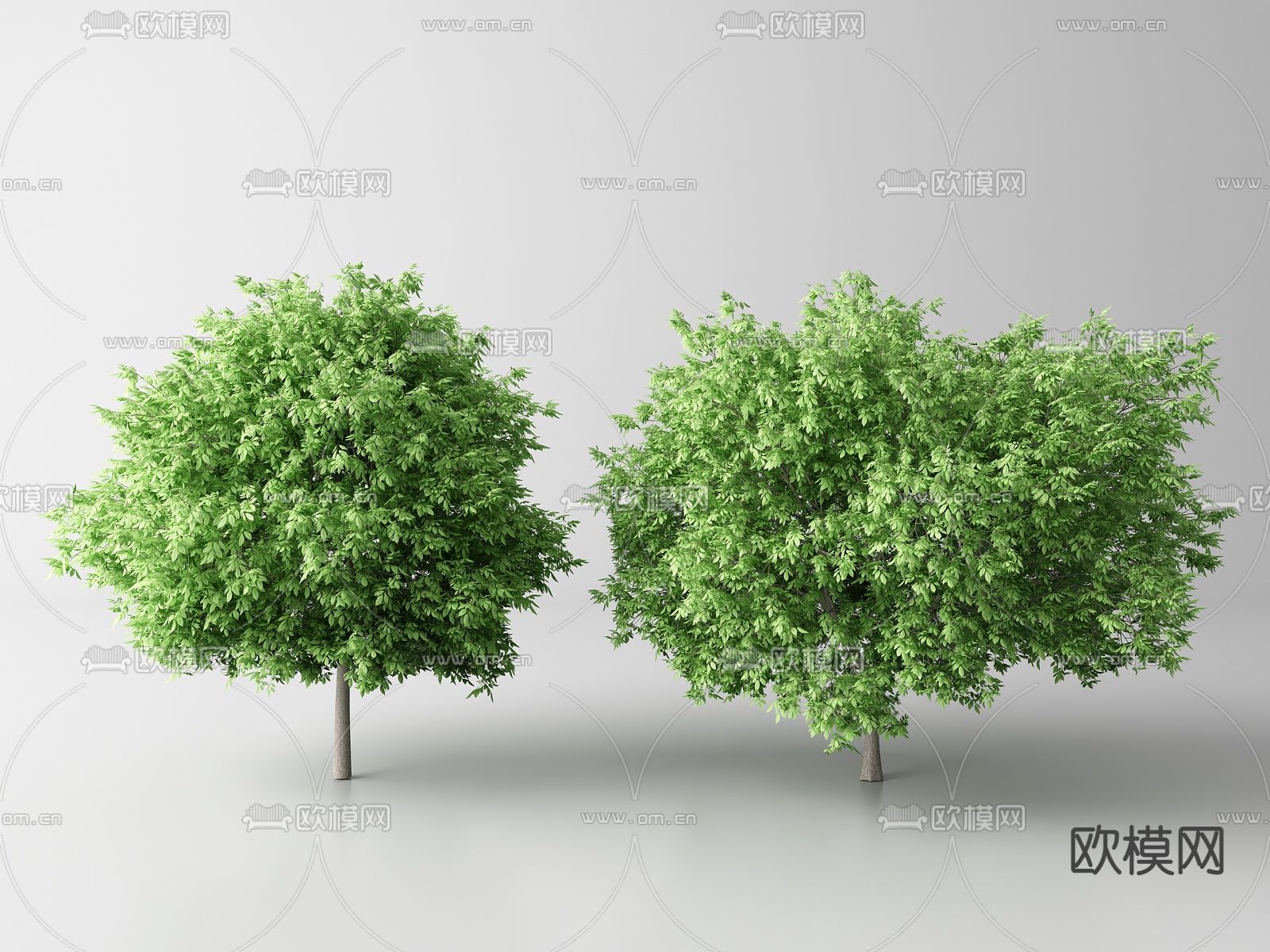 景观树 树木 乔木su模型下载（渲染图1）