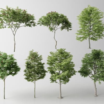  景观树 树木 乔木su模型 