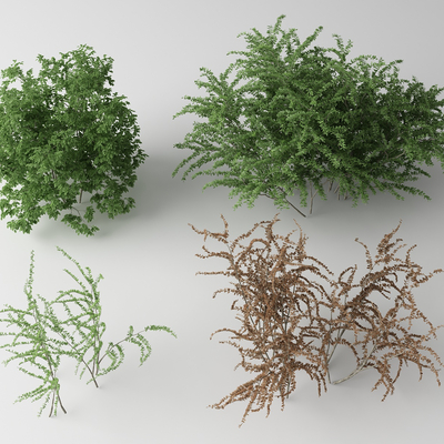  现代灌木丛su模型 