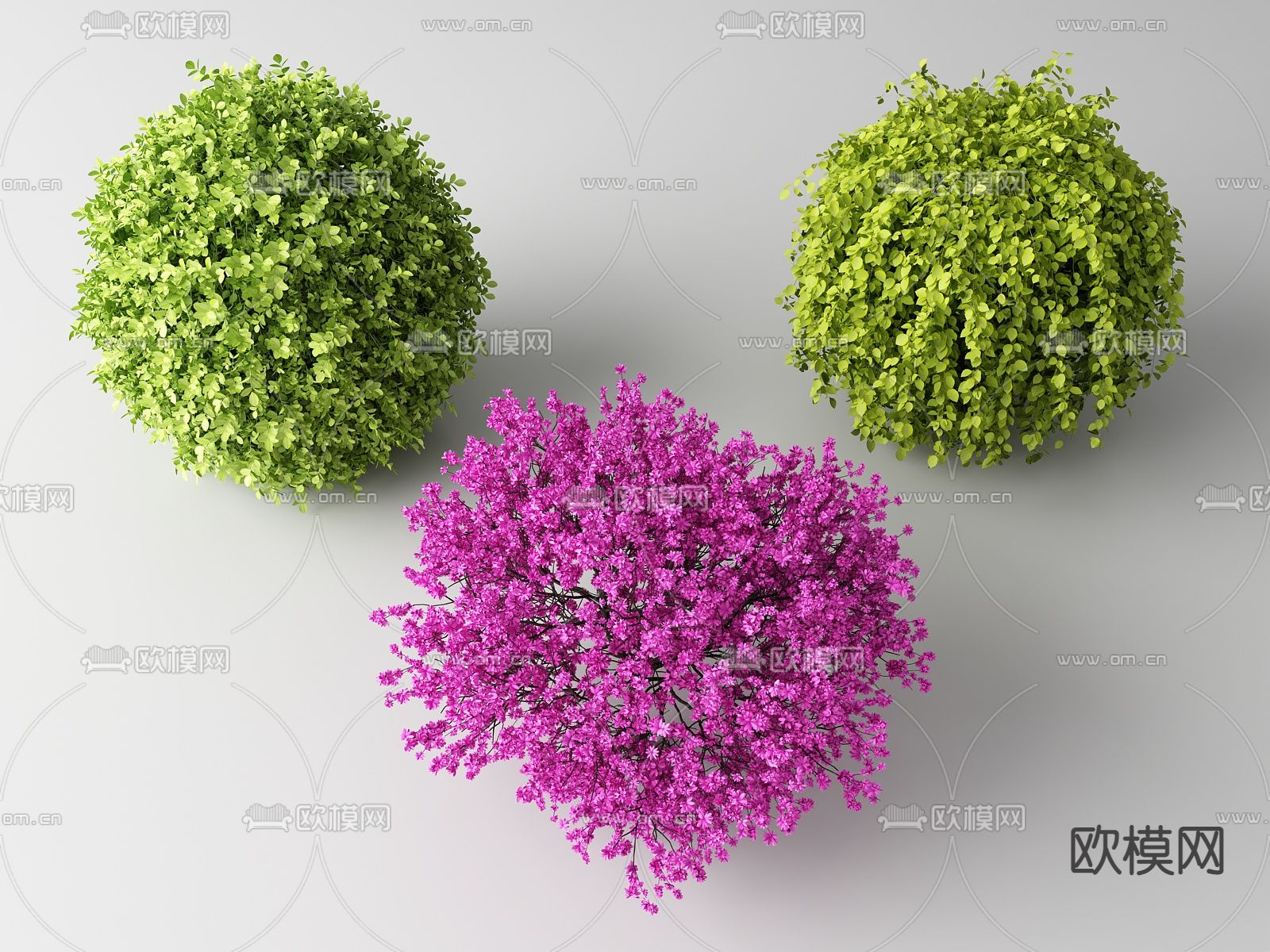 现代灌木丛su模型下载（渲染图1）