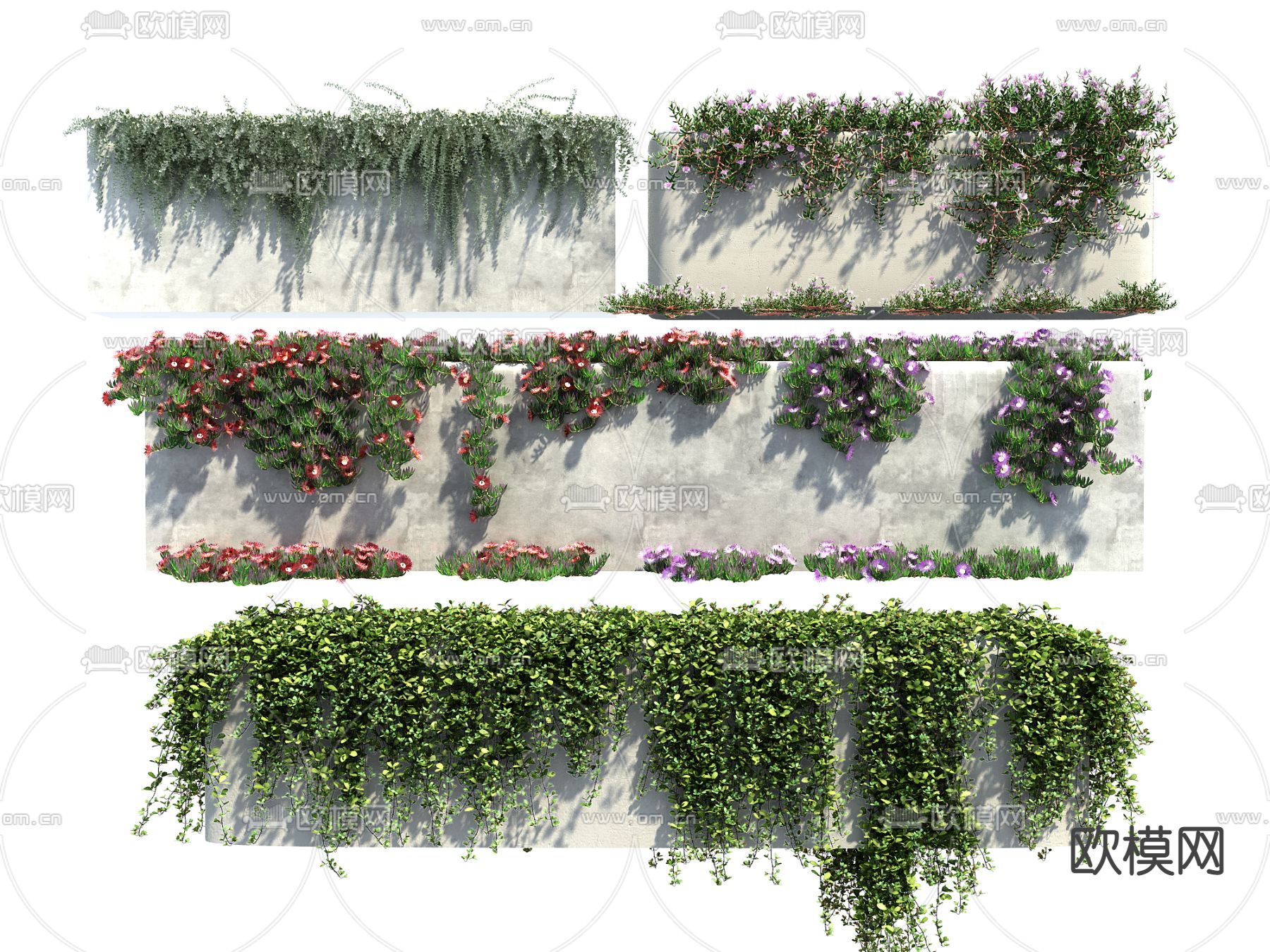 藤蔓3d模型下载