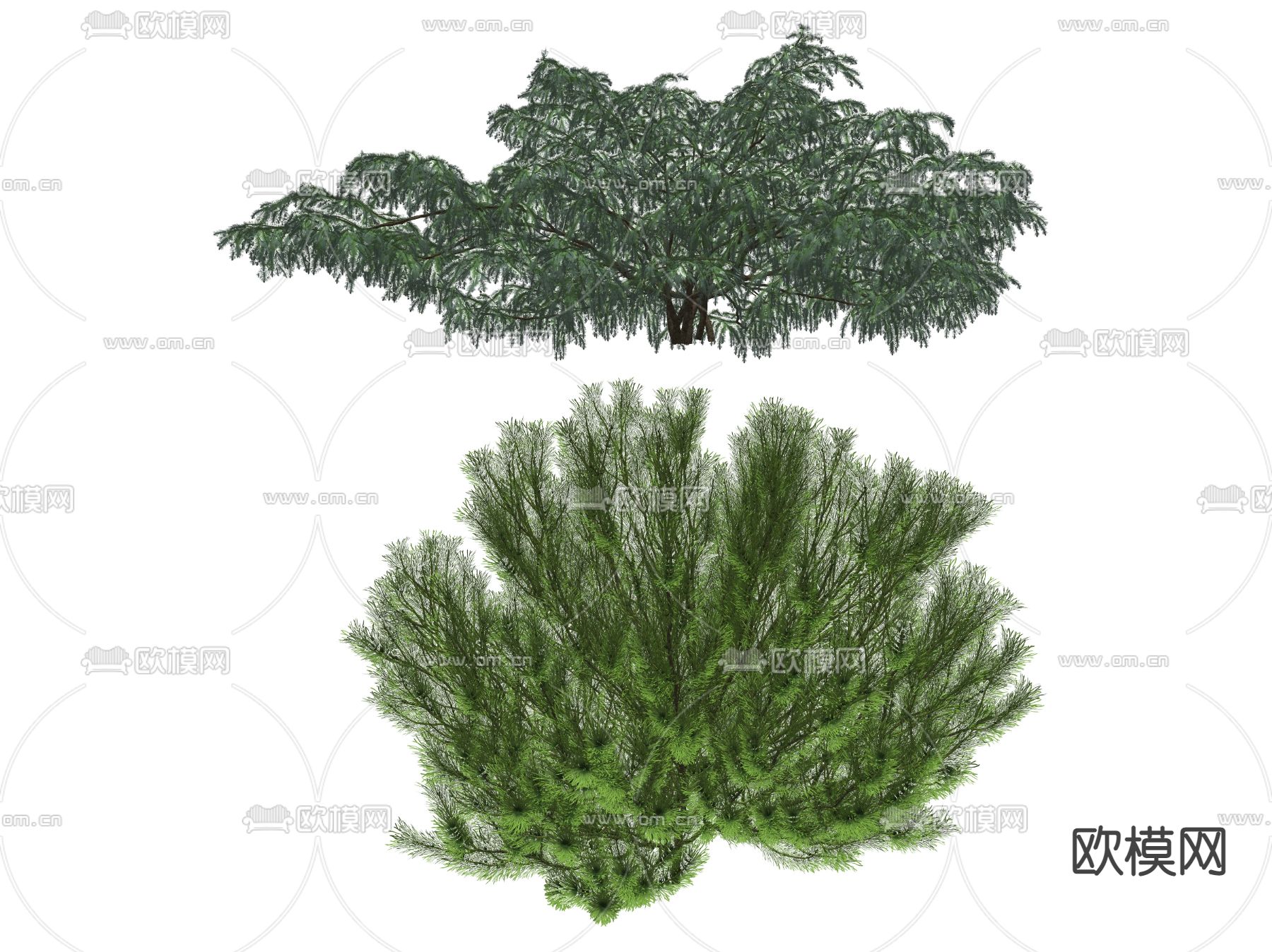 现代景观树 树木su模型下载（渲染图2）
