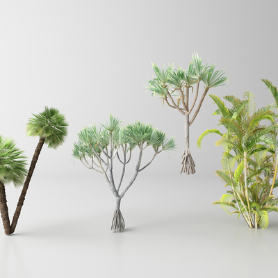  现代棕榈树 热带树木 椰子树su模型 