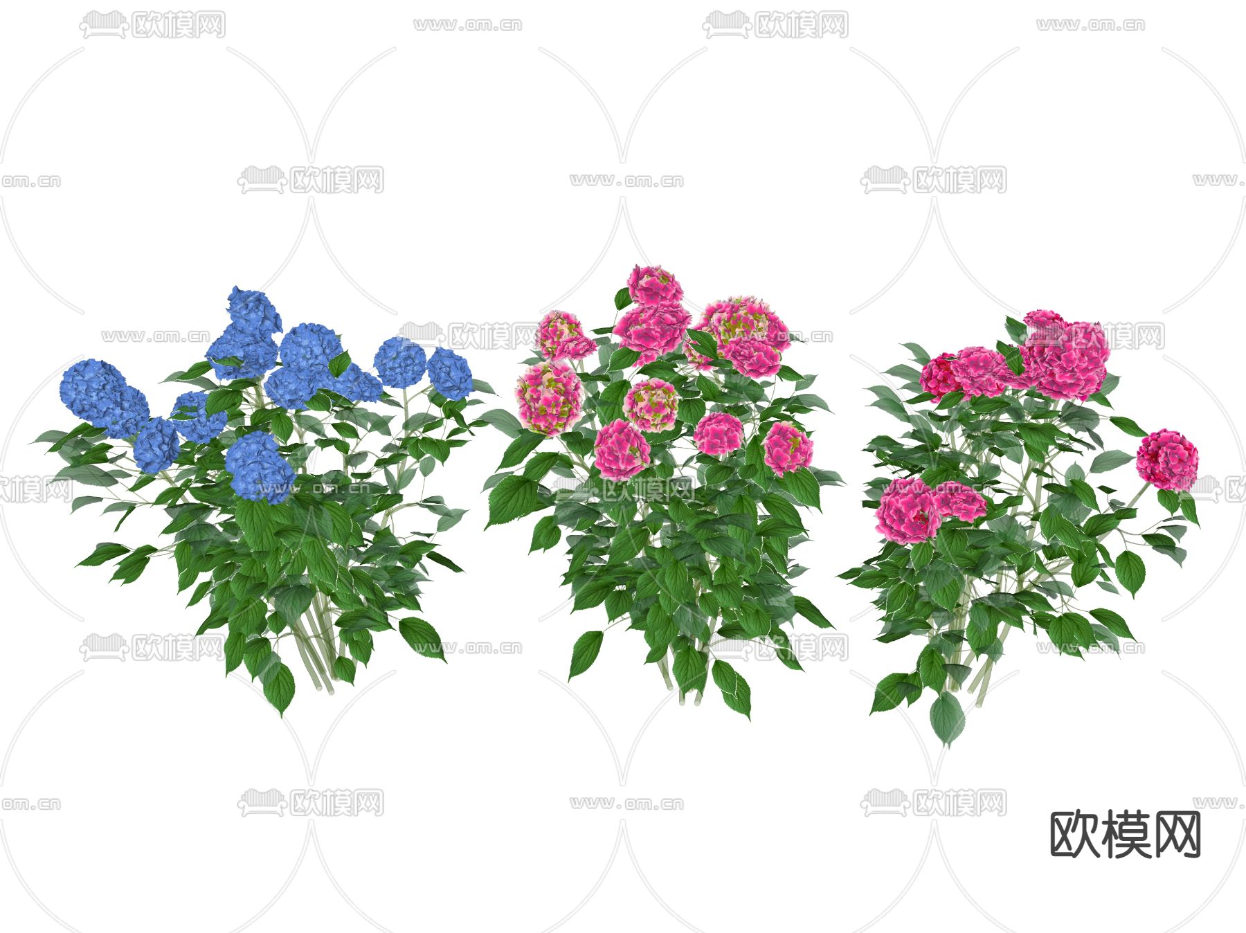 现代花草 野花su模型下载（渲染图2）