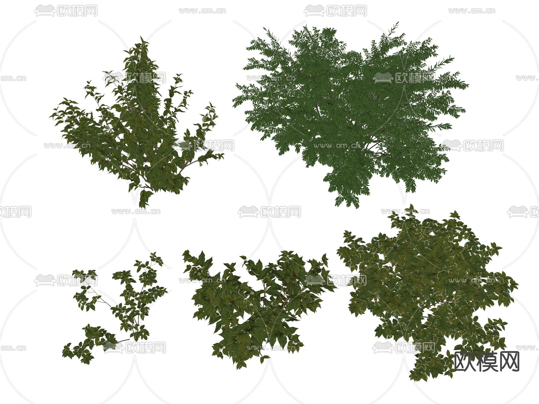 现代灌木丛su模型下载（渲染图2）
