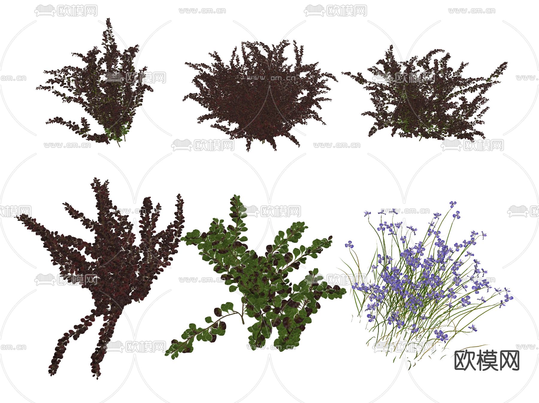 现代花草 野花su模型下载（渲染图2）