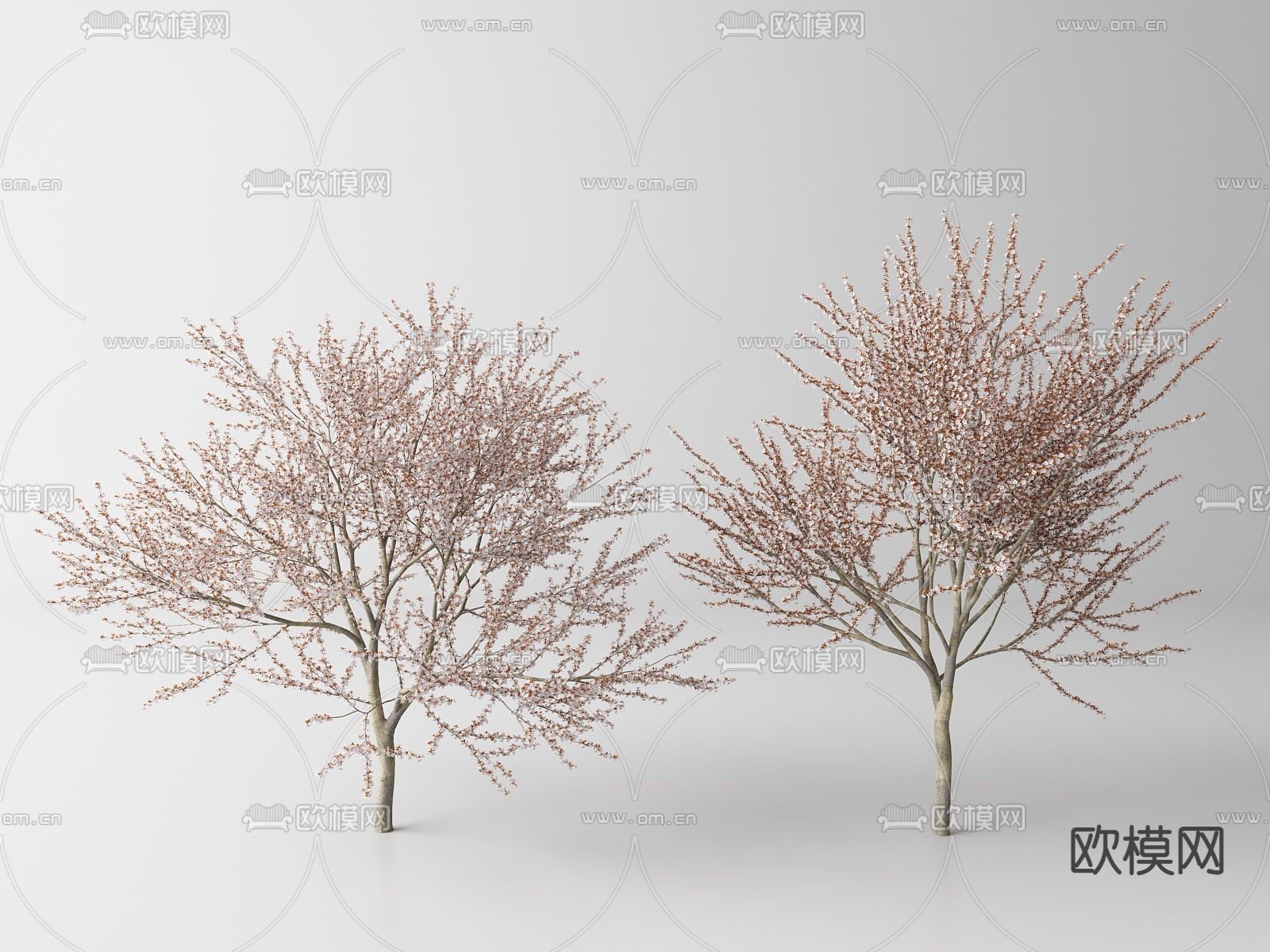 现代景观树 树木su模型下载（渲染图1）