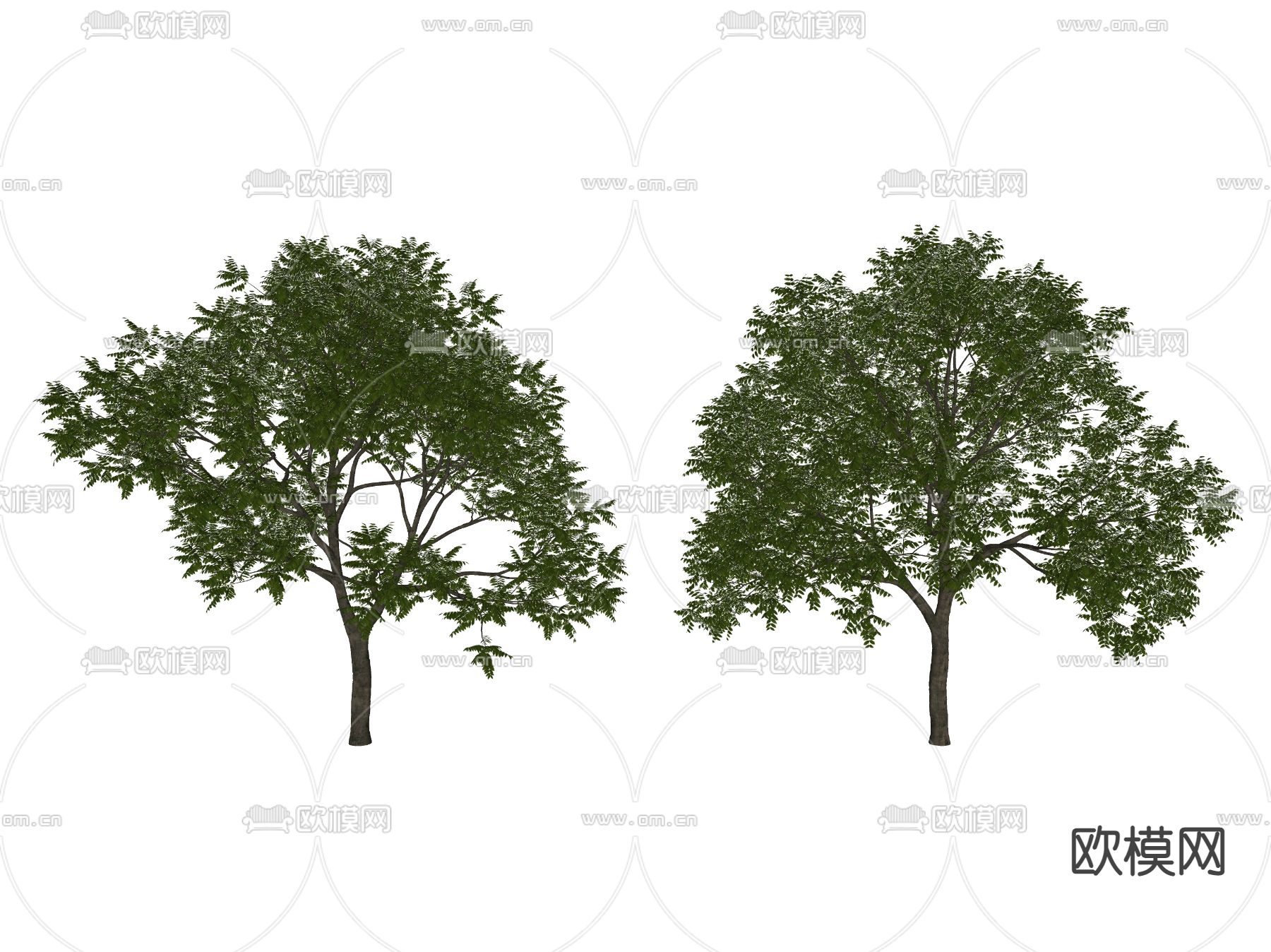 现代景观树 树木su模型下载（渲染图2）
