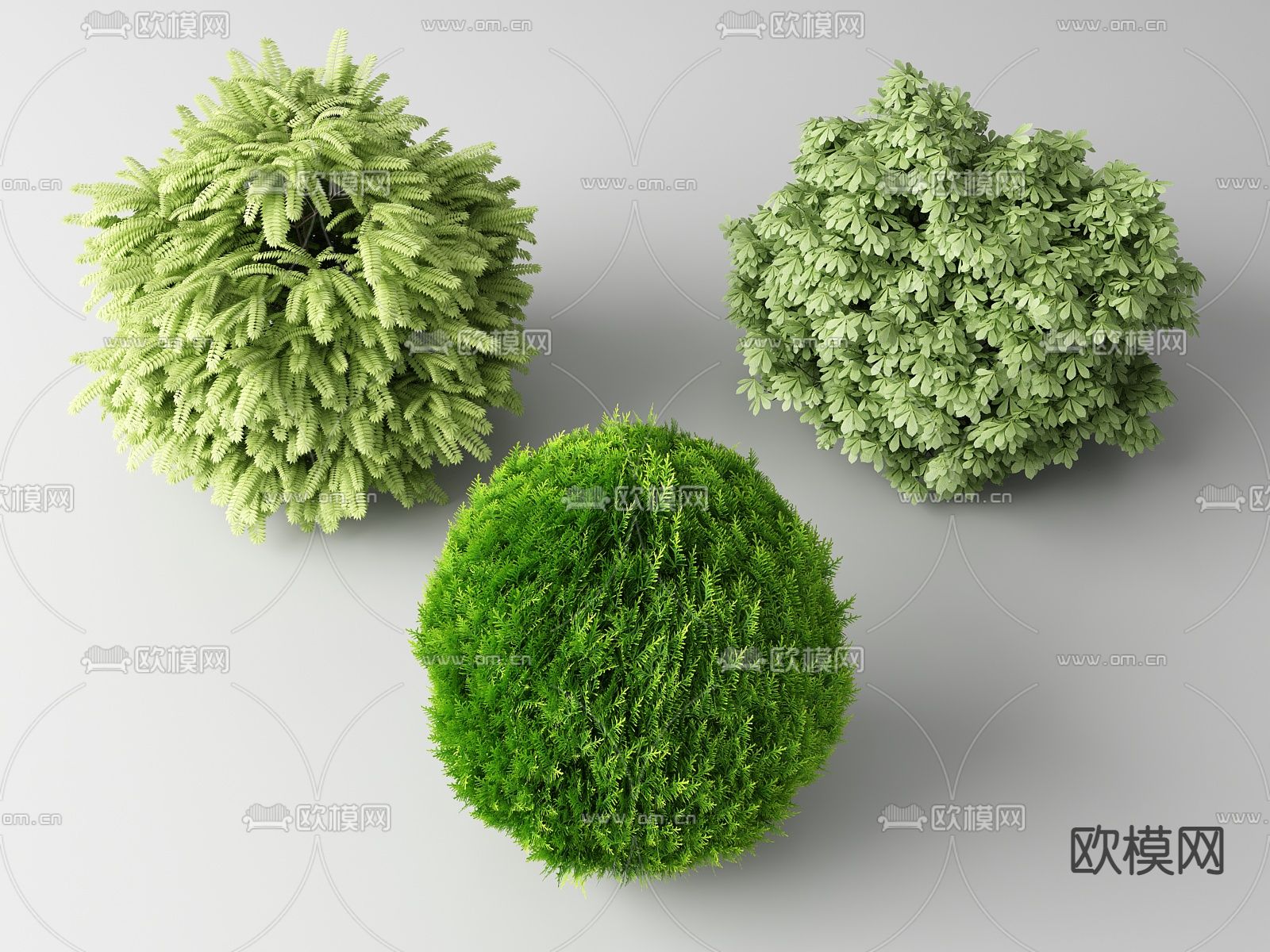现代灌木丛su模型下载（渲染图1）