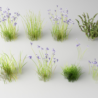  现代花草 野花su模型 