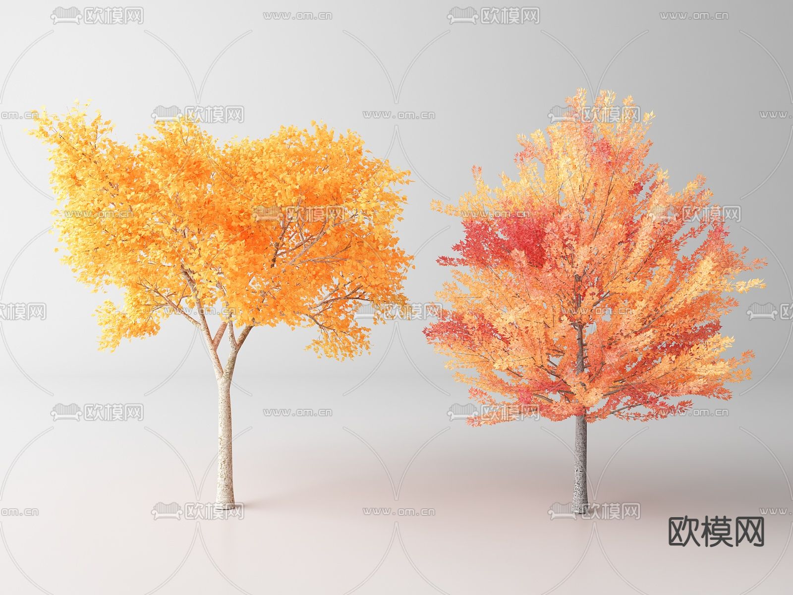 现代景观树 枫树su模型下载（渲染图1）