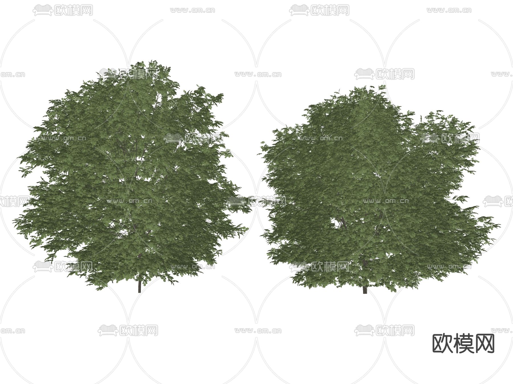 景观树 树木 乔木su模型下载（渲染图2）