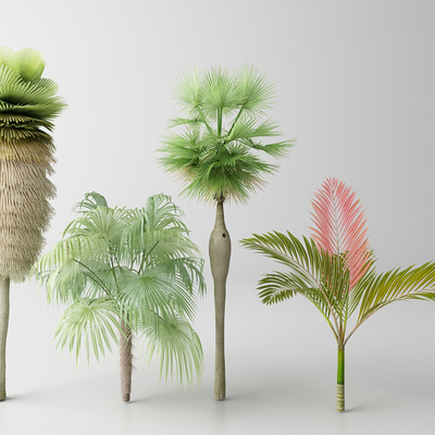  现代棕榈树 热带树木 椰子树su模型 